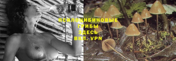 ALPHA-PVP Надым